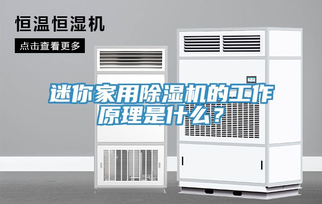 迷你家用除濕機的工作原理是什么？