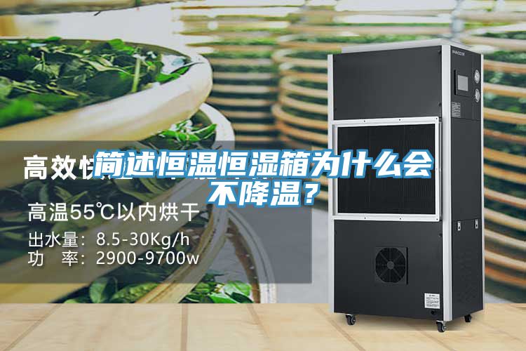 簡述恒溫恒濕箱為什么會不降溫？