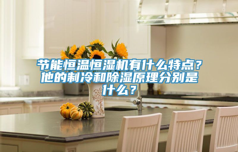 節(jié)能恒溫恒濕機(jī)有什么特點(diǎn)？他的制冷和除濕原理分別是什么？