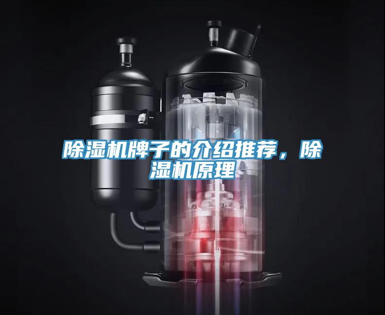 除濕機(jī)牌子的介紹推薦，除濕機(jī)原理