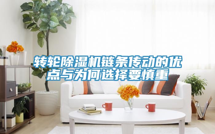 轉(zhuǎn)輪除濕機(jī)鏈條傳動的優(yōu)點與為何選擇要慎重