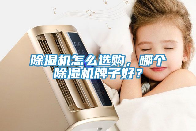 除濕機怎么選購，哪個除濕機牌子好？