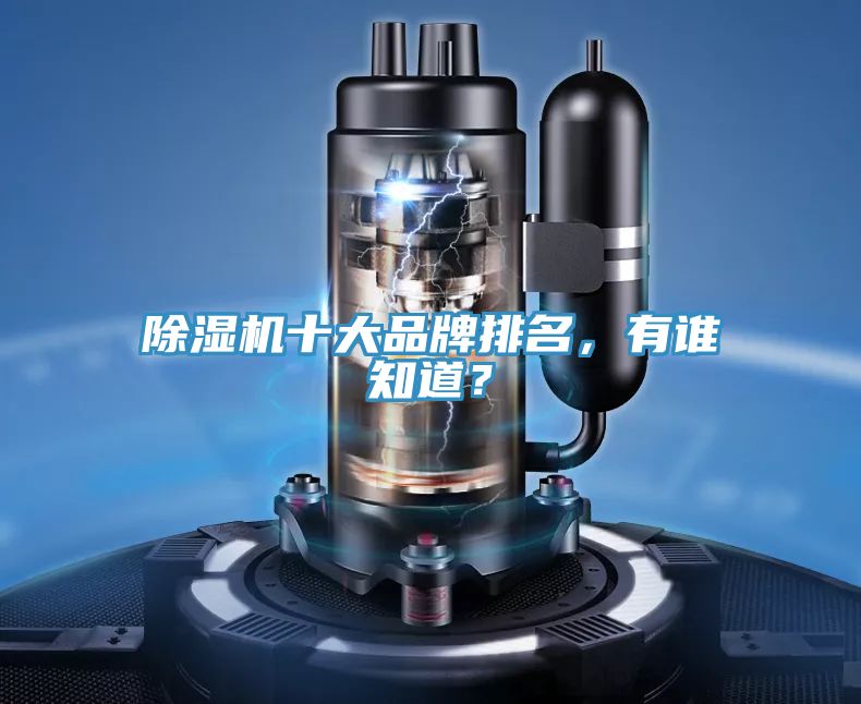 除濕機(jī)十大品牌排名，有誰知道？