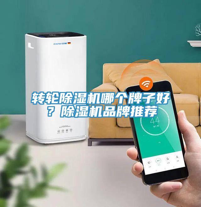 轉(zhuǎn)輪除濕機哪個牌子好？除濕機品牌推薦