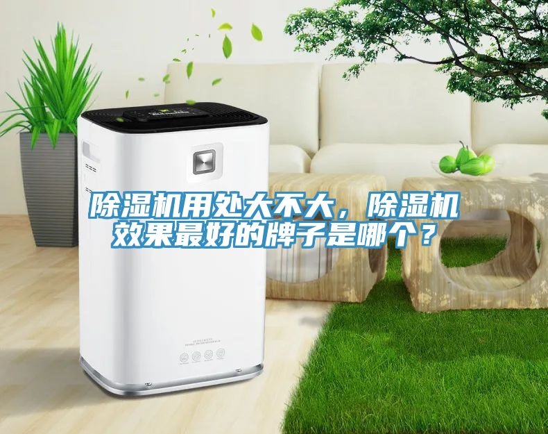 除濕機(jī)用處大不大，除濕機(jī)效果最好的牌子是哪個(gè)？