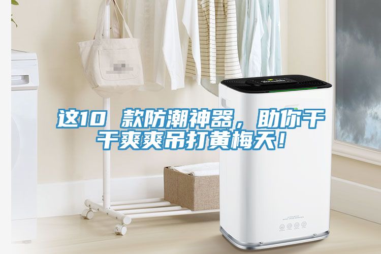 這10 款防潮神器，助你干干爽爽吊打黃梅天！