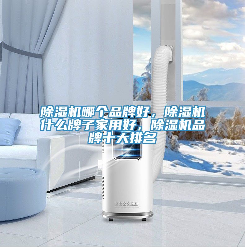 除濕機(jī)哪個(gè)品牌好，除濕機(jī)什么牌子家用好，除濕機(jī)品牌十大排名