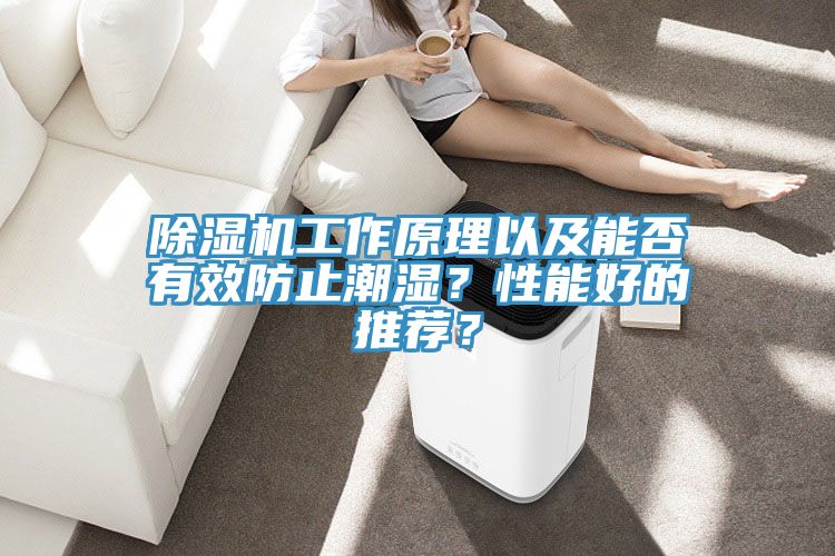 除濕機工作原理以及能否有效防止潮濕？性能好的推薦？