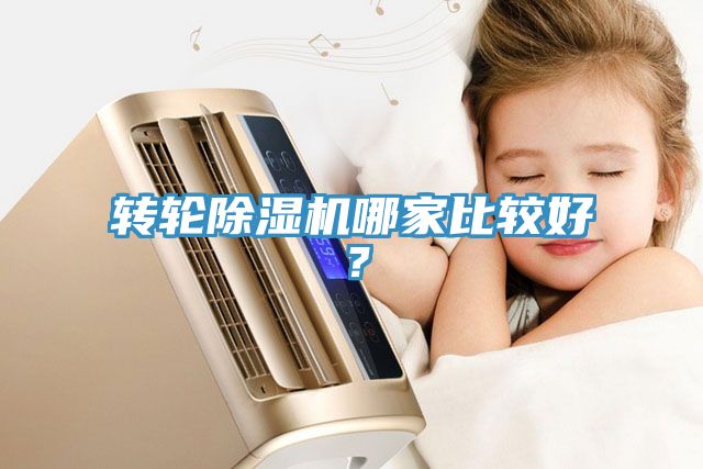轉(zhuǎn)輪除濕機哪家比較好？