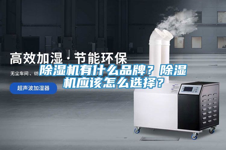 除濕機有什么品牌？除濕機應(yīng)該怎么選擇？