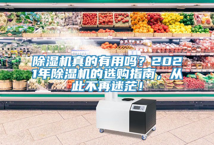 除濕機真的有用嗎？2021年除濕機的選購指南，從此不再迷茫！