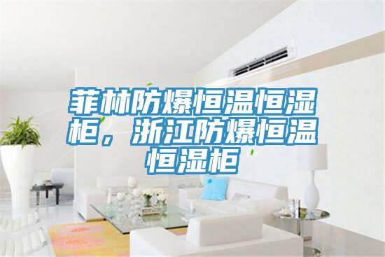 菲林防爆恒溫恒濕柜，浙江防爆恒溫恒濕柜