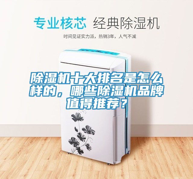 除濕機(jī)十大排名是怎么樣的，哪些除濕機(jī)品牌值得推薦？