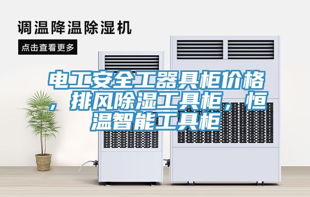 電工安全工器具柜價格，排風(fēng)除濕工具柜，恒溫智能工具柜