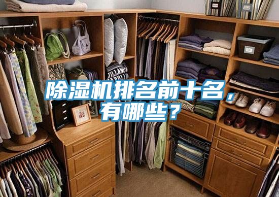 除濕機排名前十名，有哪些？