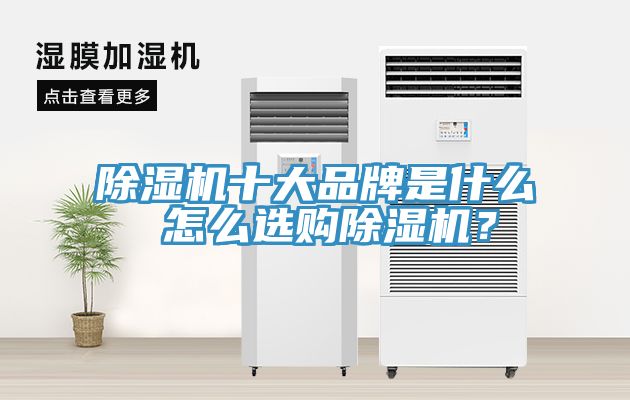 除濕機(jī)十大品牌是什么 怎么選購除濕機(jī)？