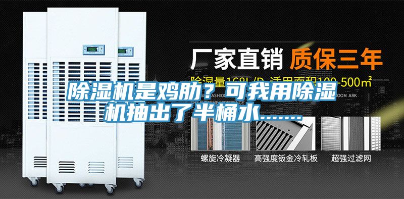 除濕機是雞肋？可我用除濕機抽出了半桶水.......