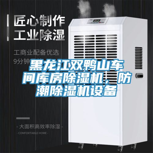 黑龍江雙鴨山車間庫房除濕機(jī)，防潮除濕機(jī)設(shè)備