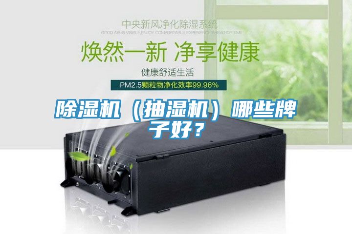 除濕機（抽濕機）哪些牌子好？