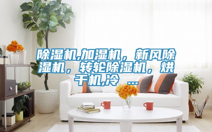 除濕機,加濕機，新風除濕機，轉輪除濕機，烘干機,冷 ...