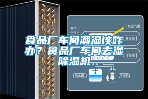 食品廠車間潮濕該咋辦？食品廠車間去濕除濕機