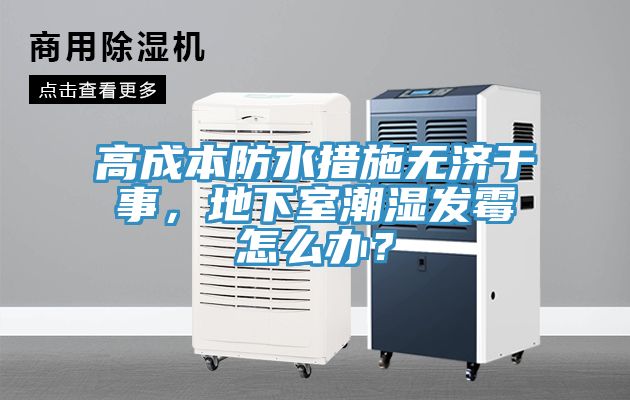 高成本防水措施無濟于事，地下室潮濕發(fā)霉怎么辦？