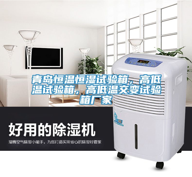 青島恒溫恒濕試驗箱，高低溫試驗箱，高低溫交變試驗箱廠家