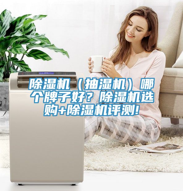 除濕機（抽濕機）哪個牌子好？除濕機選購+除濕機評測!