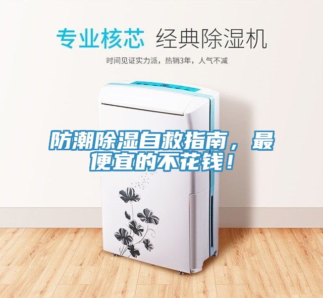 防潮除濕自救指南，最便宜的不花錢！