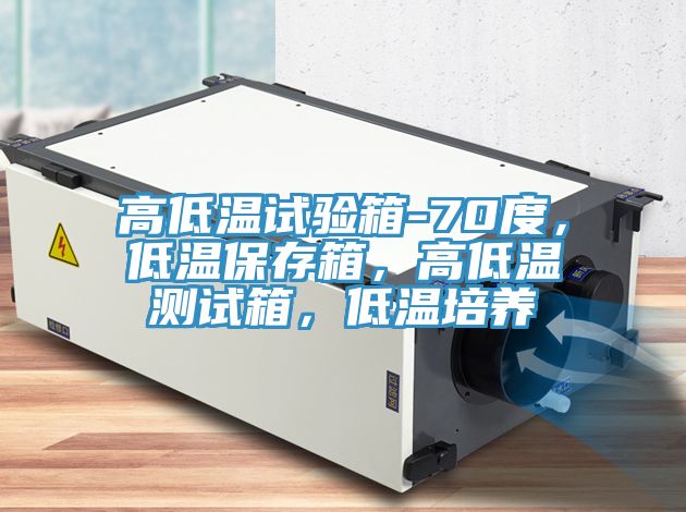 高低溫試驗(yàn)箱-70度，低溫保存箱，高低溫測(cè)試箱，低溫培養(yǎng)