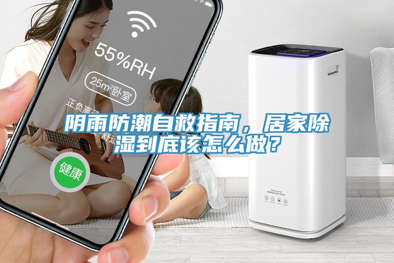 陰雨防潮自救指南，居家除濕到底該怎么做？