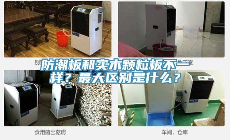 防潮板和實(shí)木顆粒板不一樣？最大區(qū)別是什么？