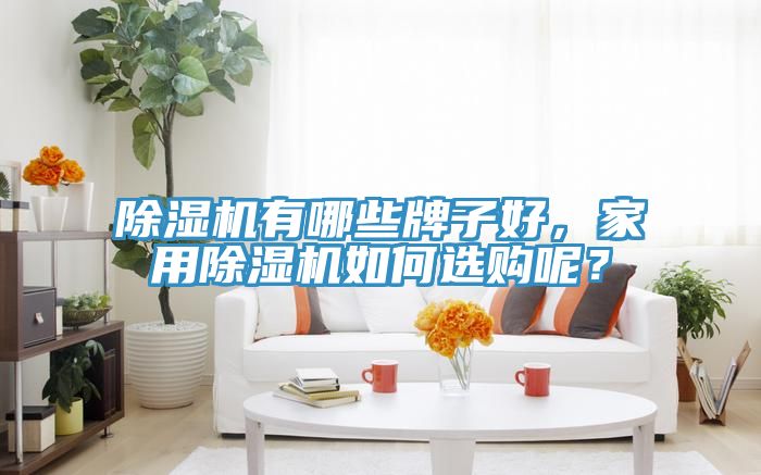 除濕機(jī)有哪些牌子好，家用除濕機(jī)如何選購呢？