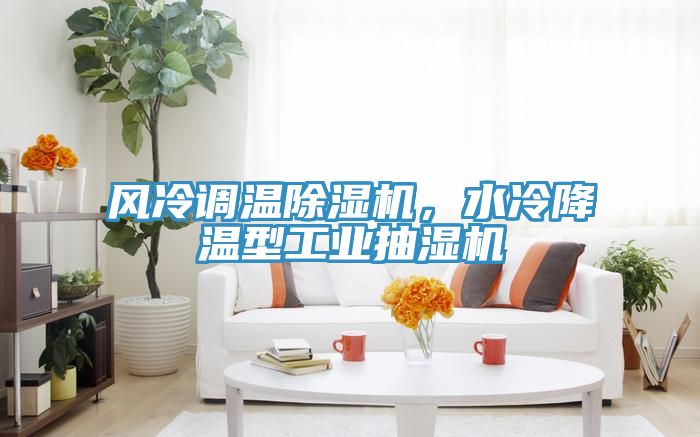 風(fēng)冷調(diào)溫除濕機(jī)，水冷降溫型工業(yè)抽濕機(jī)