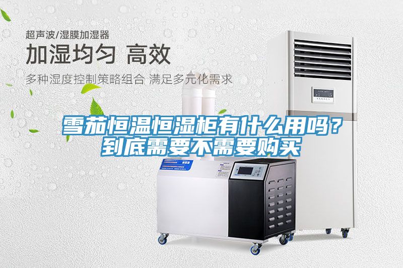 雪茄恒溫恒濕柜有什么用嗎？到底需要不需要購買