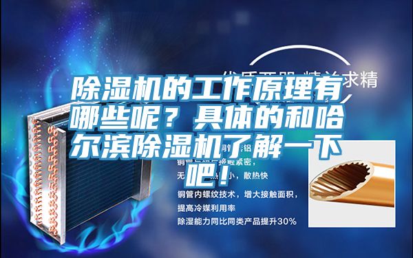 除濕機(jī)的工作原理有哪些呢？具體的和哈爾濱除濕機(jī)了解一下吧！