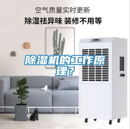 除濕機(jī)的工作原理？