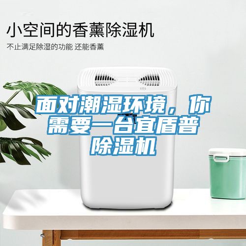 面對潮濕環(huán)境，你需要一臺宜盾普除濕機