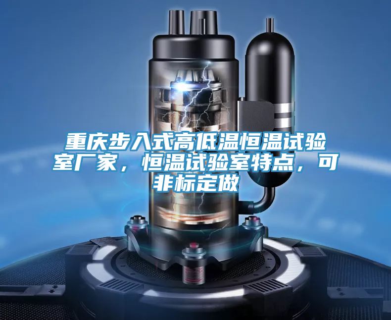 重慶步入式高低溫恒溫試驗室廠家，恒溫試驗室特點，可非標定做