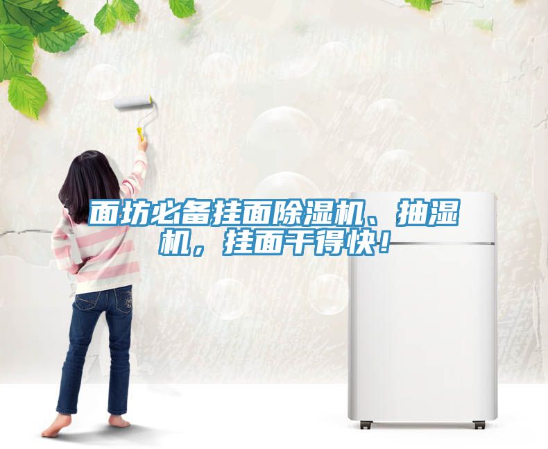 面坊必備掛面除濕機、抽濕機，掛面干得快！