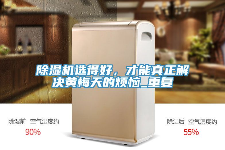 除濕機(jī)選得好，才能真正解決黃梅天的煩惱_重復(fù)