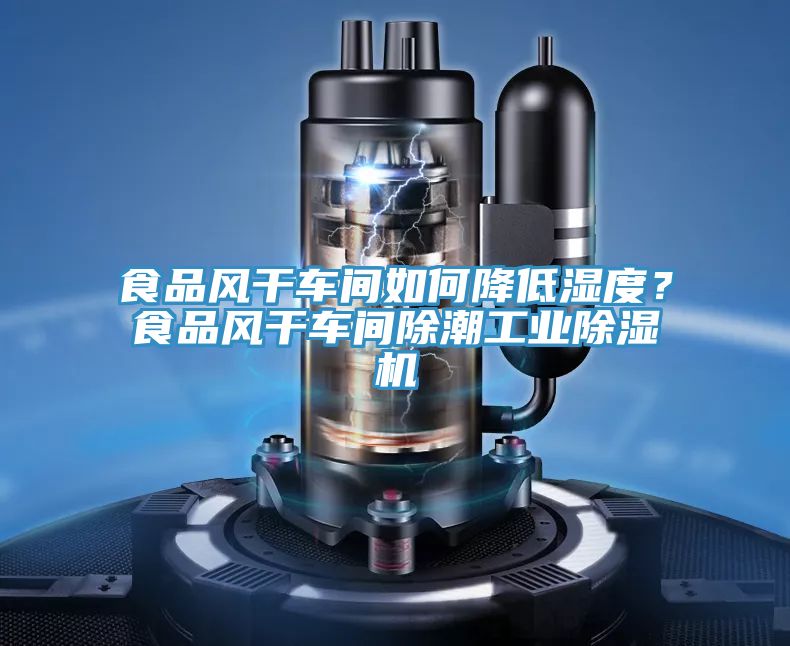 食品風(fēng)干車間如何降低濕度？食品風(fēng)干車間除潮工業(yè)除濕機(jī)