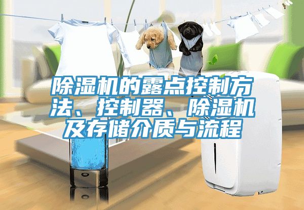 除濕機(jī)的露點(diǎn)控制方法、控制器、除濕機(jī)及存儲(chǔ)介質(zhì)與流程
