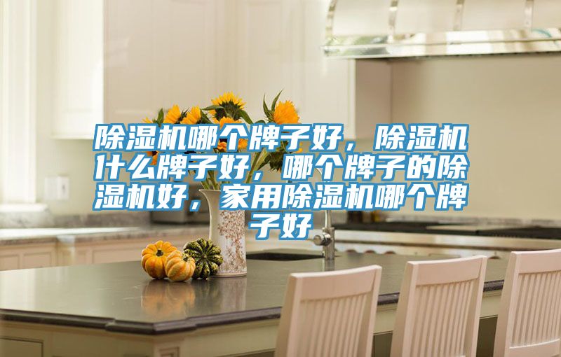 除濕機(jī)哪個(gè)牌子好，除濕機(jī)什么牌子好，哪個(gè)牌子的除濕機(jī)好，家用除濕機(jī)哪個(gè)牌子好