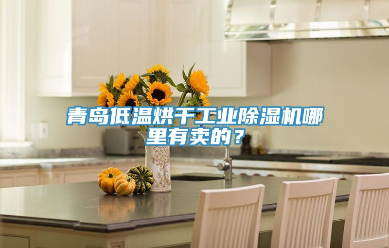 青島低溫烘干工業(yè)除濕機(jī)哪里有賣的？