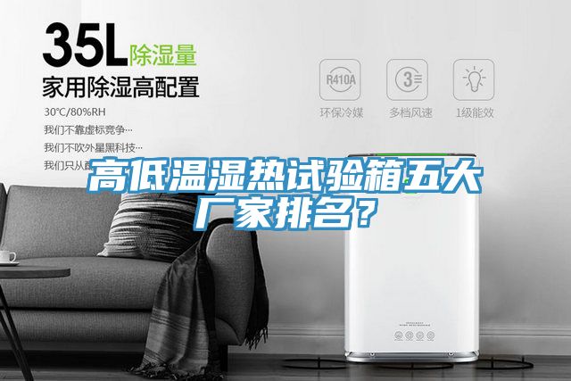高低溫濕熱試驗(yàn)箱五大廠家排名？