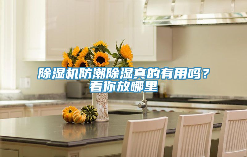 除濕機(jī)防潮除濕真的有用嗎？看你放哪里