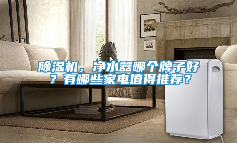 除濕機，凈水器哪個牌子好？有哪些家電值得推薦？