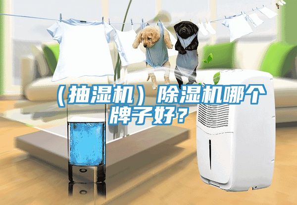 （抽濕機(jī)）除濕機(jī)哪個牌子好？
