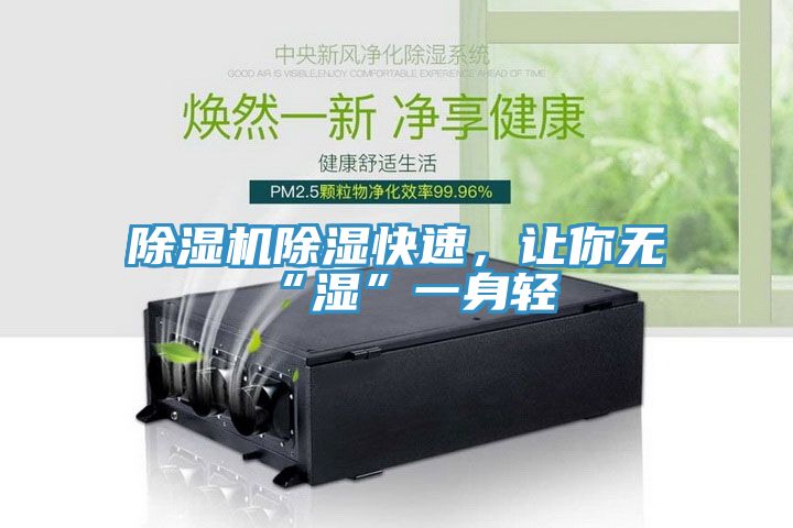 除濕機除濕快速，讓你無“濕”一身輕